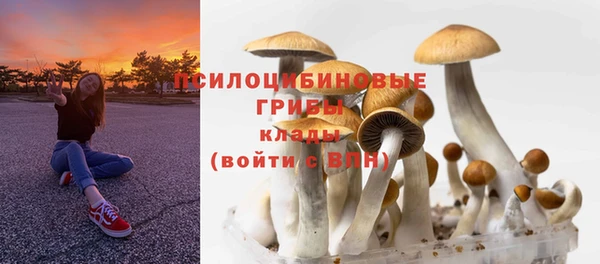гашик Алзамай