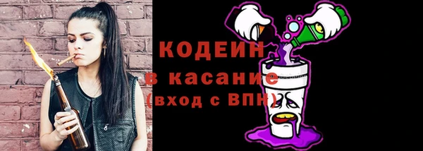 герыч Мегион