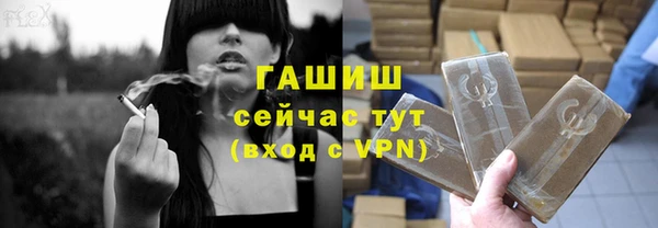 прущие грибы Абаза